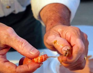 03-Pulling vein from crawfish