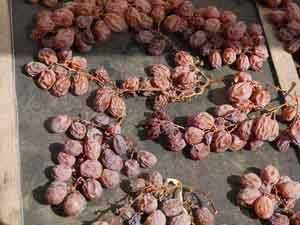 Zibibbo grapes set to dry on Pantelleria