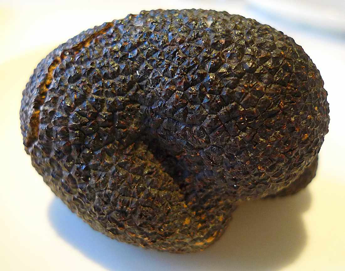Australian truffle