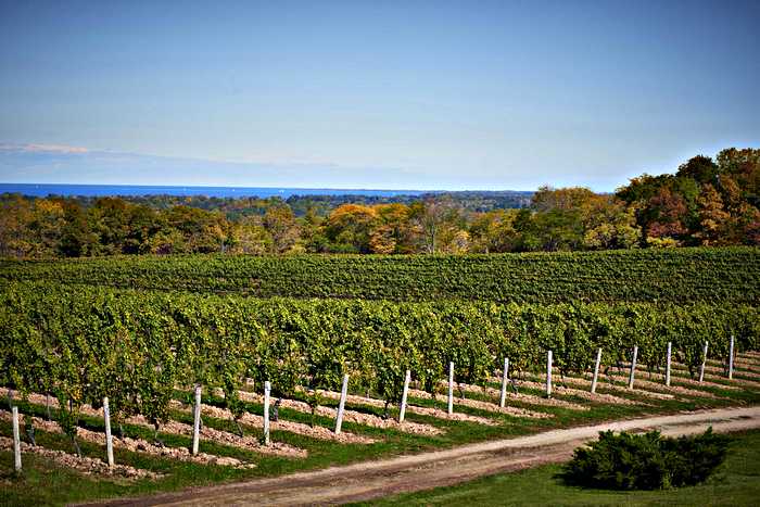 london ontario wine tour