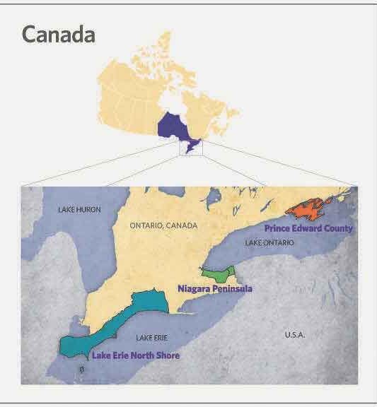 Ontario wine country becomes a world player