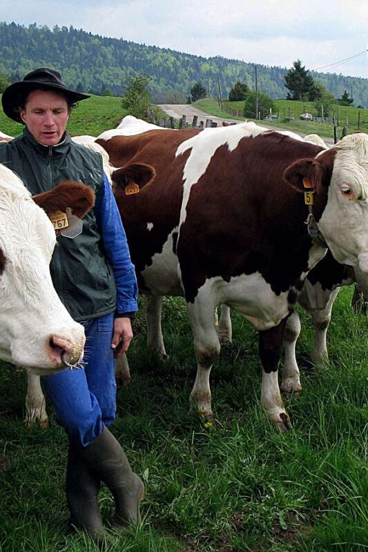 Cheese-loving Americans in good company