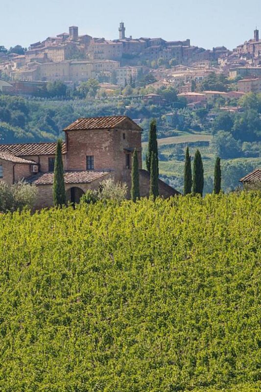 Reassessing rich reds of Vino Nobile di Montepulciano