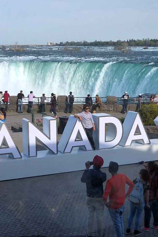 Ontario food rivals the view at Elements on the Falls