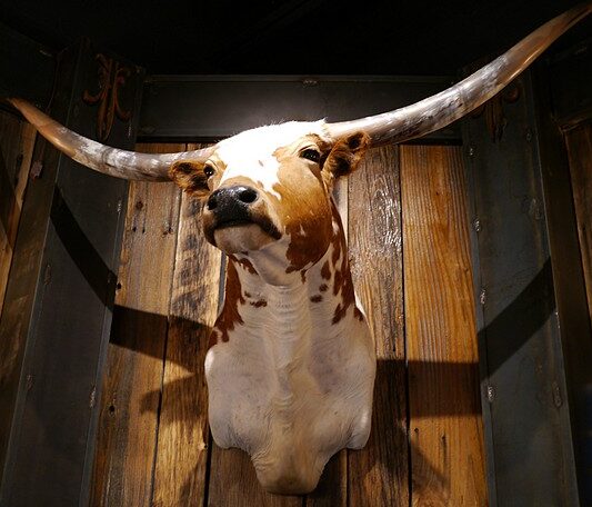 Steer on wall of Le Moo in Louisville