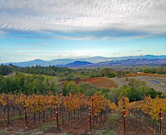 Thomas George evokes Burgundy in Russian River