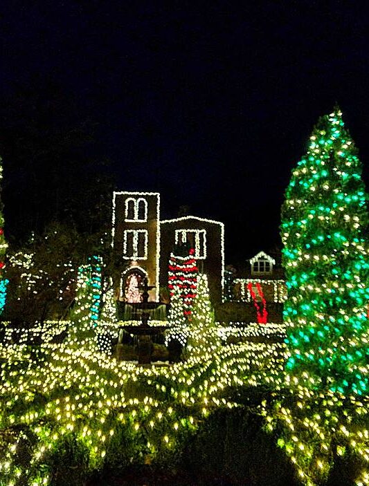 Barnsley lights up a Southern Christmas