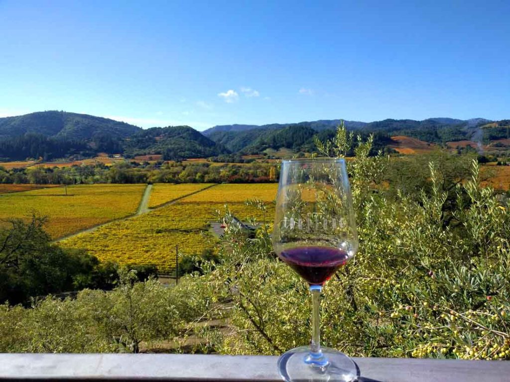 View of Dry Creek Valley from Trattore tasting room