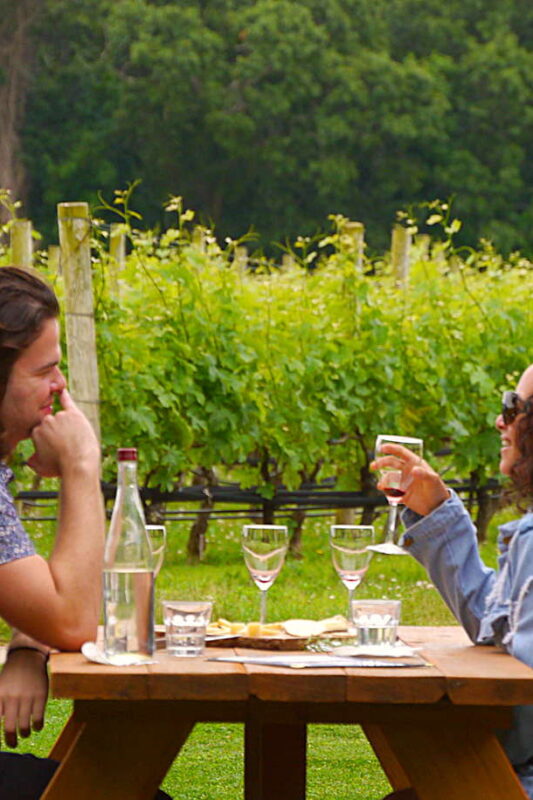 joys of picnic in vineyard