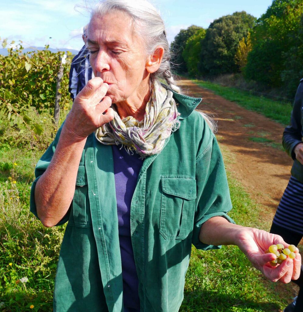 Wine from a stone: Sassotondo thrives on tufo
