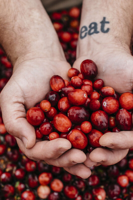 Chefs and growers jointly hail the versatile cranberry