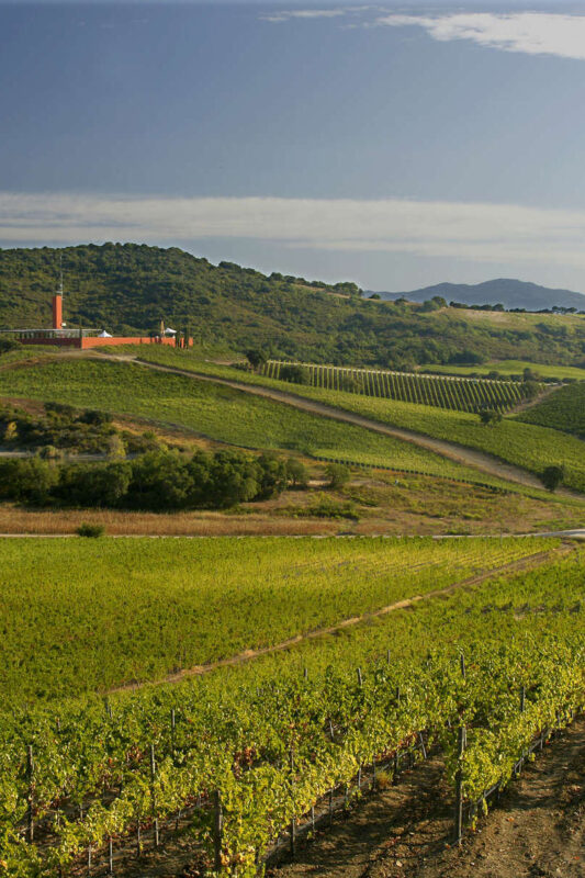Maremma Toscana DOC: Tuscany’s next great wines