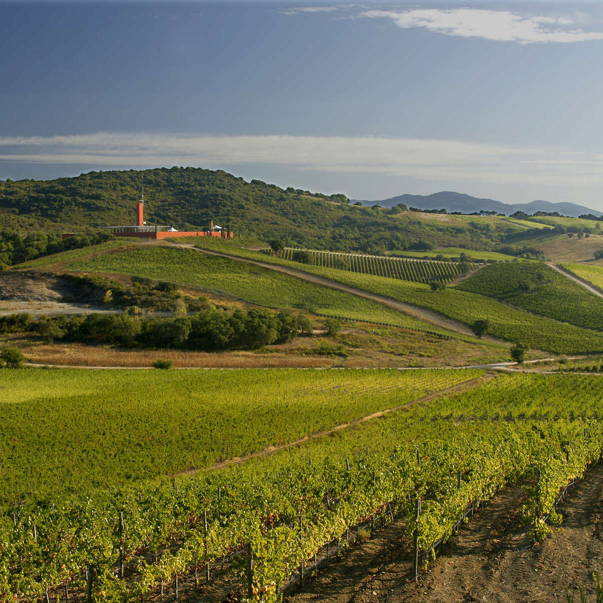 Maremma Toscana DOC: Tuscany’s next great wines