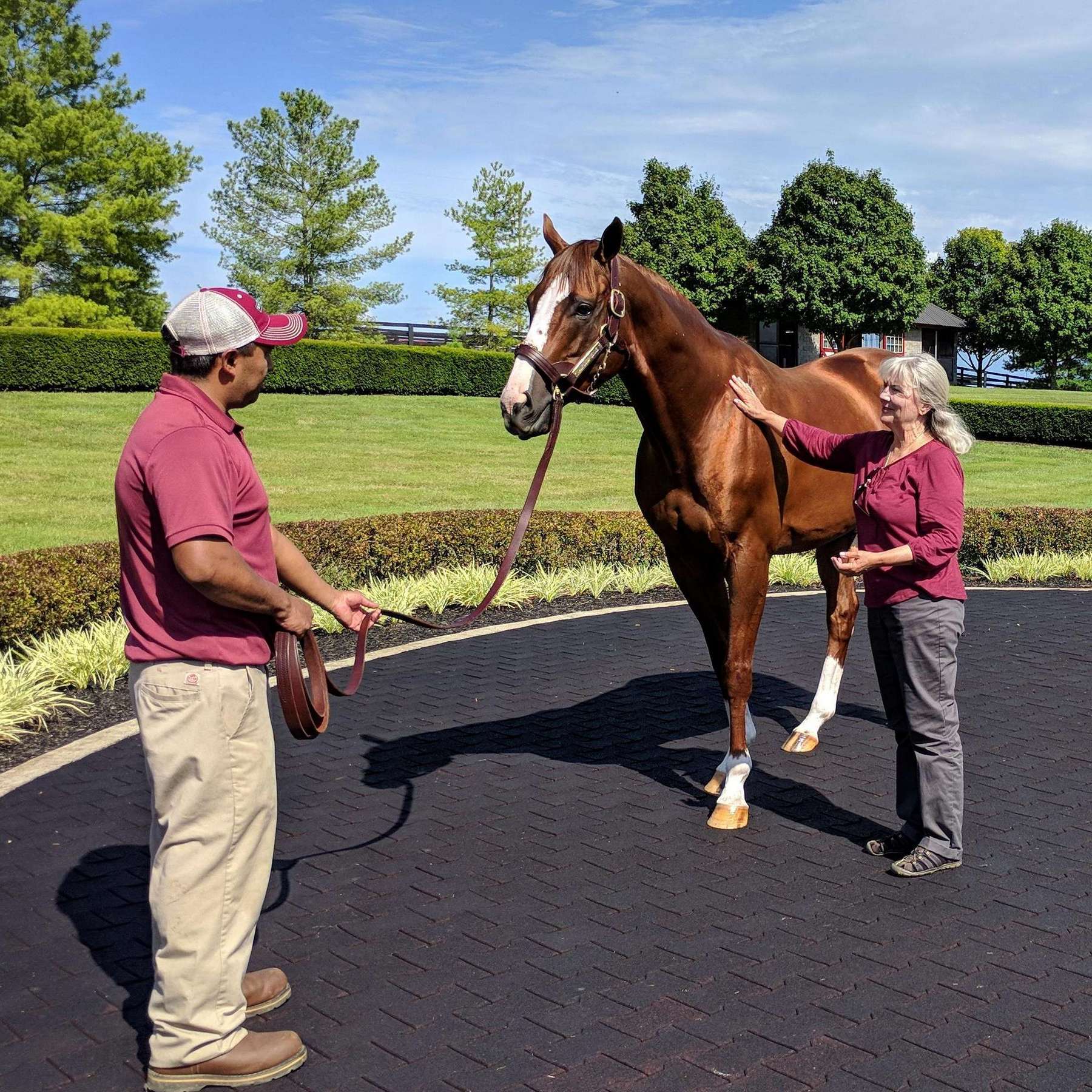 Toasting thoroughbreds and bourbon at Taylor Made