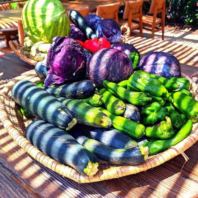 Right on the bikepath of La Albufera wetlands just south of Valencia, Maravella has a huge kitchen garden and specializes in the signature rice, fish, and vegetable dishes of the Valencia area. @maravella.valencia @spain #VisitValencia @ValenciaCity @visit_valencia @valenciaturisme https://hungrytravelers.com/savoring-maravella-a-garden-restaurant-by-sea-and-rice-fields/