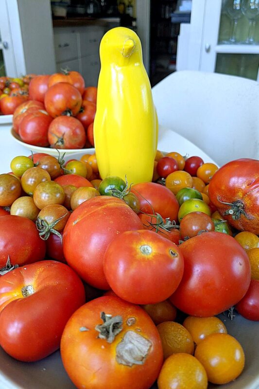 Greek tomato soup far surpasses anything canned