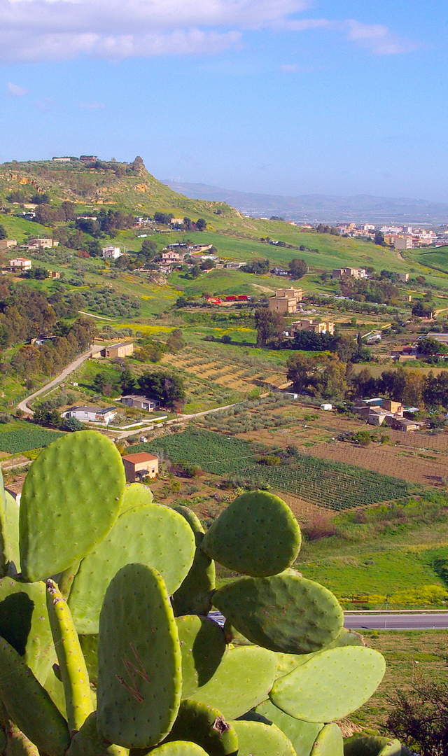 Journey to Sicily with pasta alla Norma