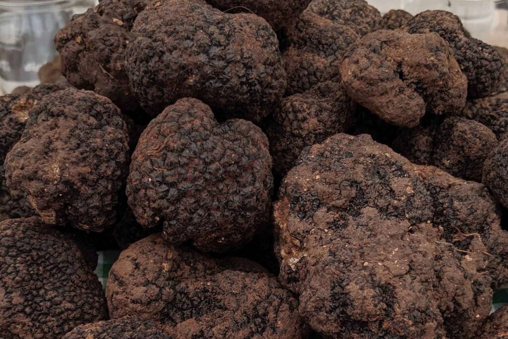 The delicious region of Istria, now mainly in Croatia, yields some of Europe's best truffles. We went truffle hunting with Miro Kortiga. 