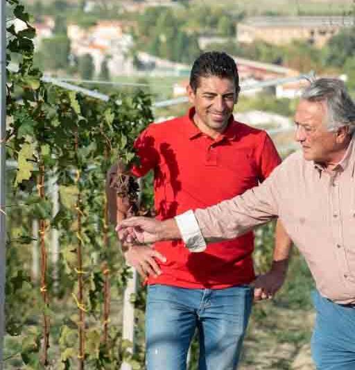 Abruzzo means more than just Montepulciano
