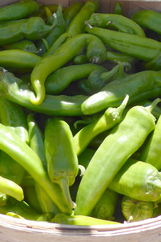 Enjoying the culinary versatility of green chile