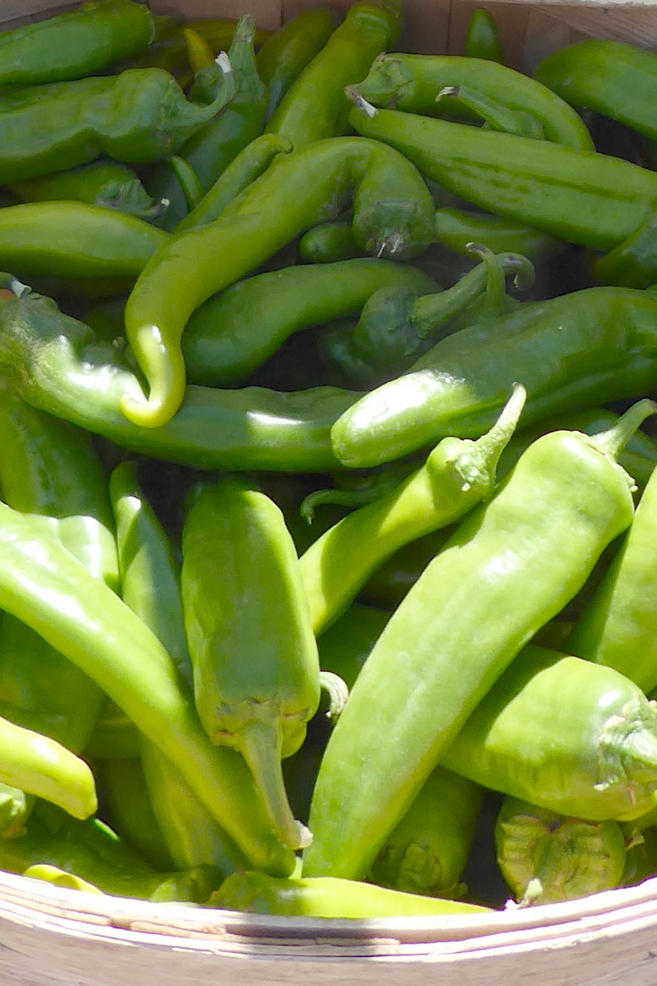 Enjoying the culinary versatility of green chile
