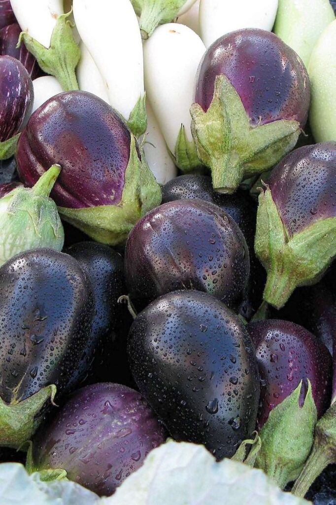 Ghiotta: A touch of Sicilian home cooking