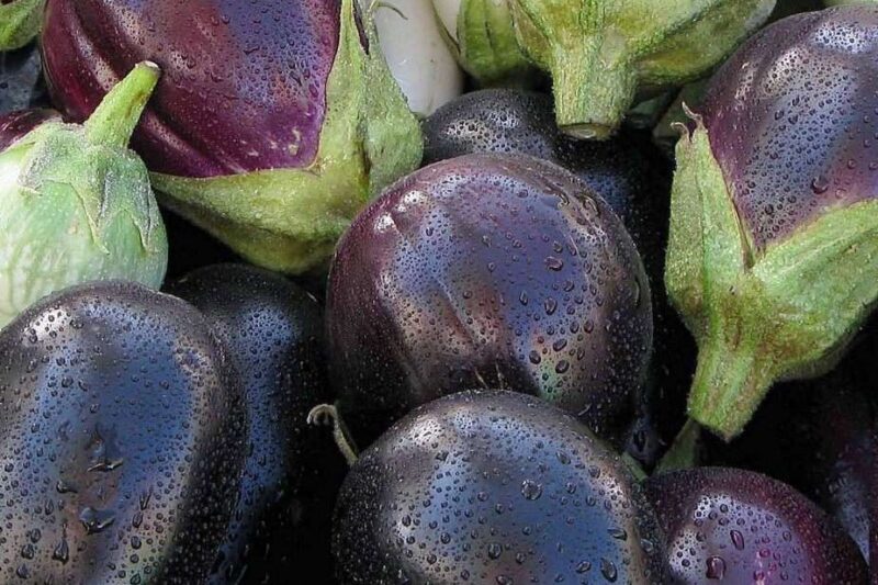 Ghiotta: A touch of Sicilian home cooking